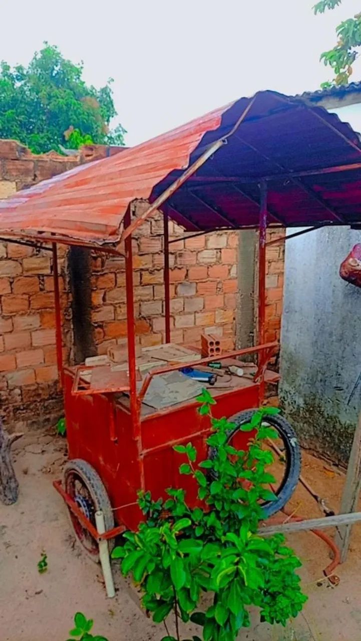 Carinho para trabalhar 