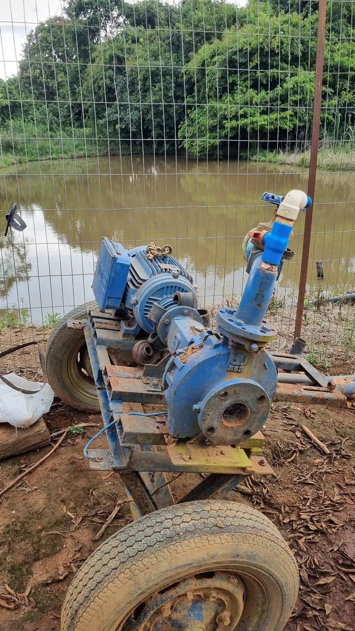 Motor irrigação elétrico 