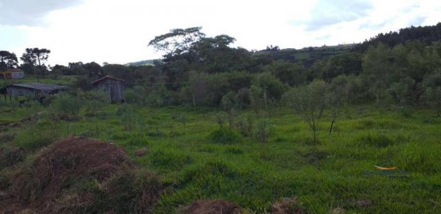 Fazenda à venda, 968000 m² por r$ 2.000.000,00 - fazenda velha - nova laranjeiras/pr - Foto 7