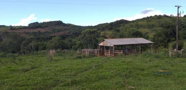 Fazenda à venda, 968000 m² por r$ 2.000.000,00 - fazenda velha - nova laranjeiras/pr - Foto 15