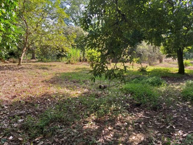 Área comercial e residencial - Foto 5