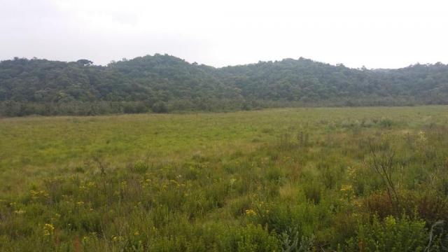 Área à venda, 103000 m² por r$ 700.000,00 - borda do campo - são josé dos pinhais/pr - Foto 11