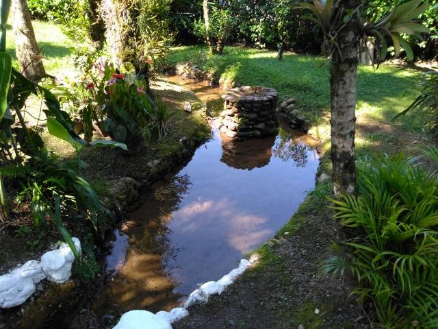 Chácara - São João da Graciosa - Morretes - Foto 3