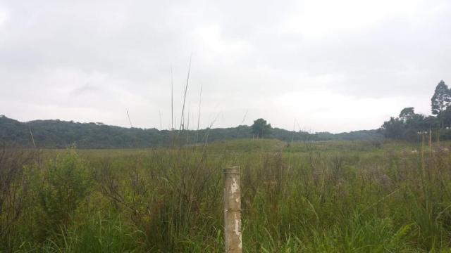 Área à venda, 103000 m² por r$ 700.000,00 - borda do campo - são josé dos pinhais/pr - Foto 18
