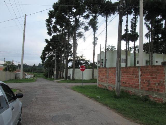 Terreno à venda, 420 m² por r$ 160.000 - rio pequeno - são josé dos pinhais/pr - Foto 4
