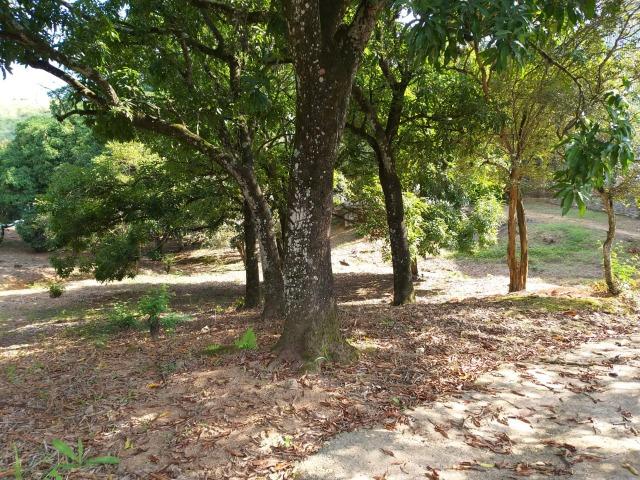Área comercial e residencial - Foto 3