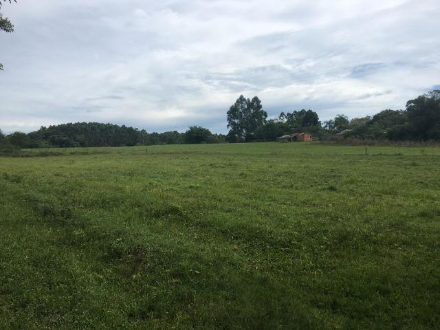 Sitio em Nova Santa Rita - Foto 6