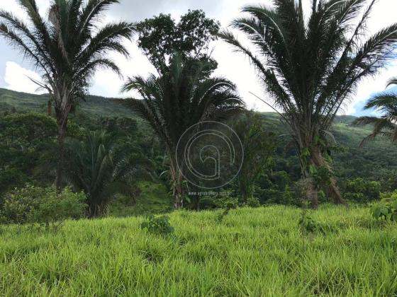 Sítio 80 ha santo antonio do leverger - Foto 7