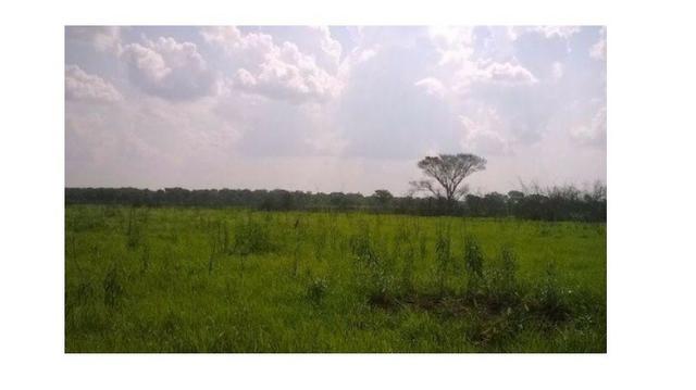 3300 Hectares, Poconé, capacidade 1300 reses, aceito permuta - Foto 3