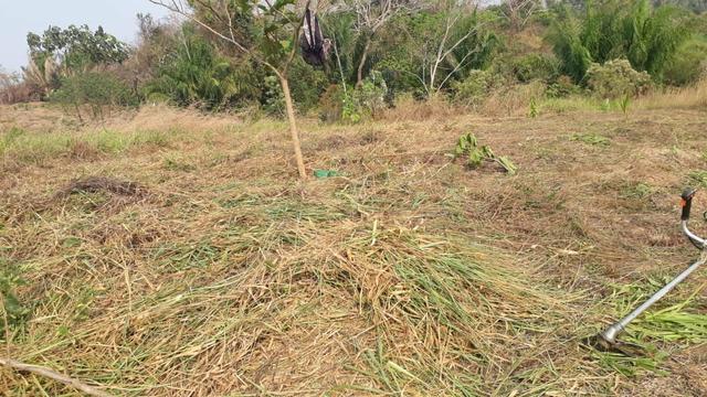 Terreno
