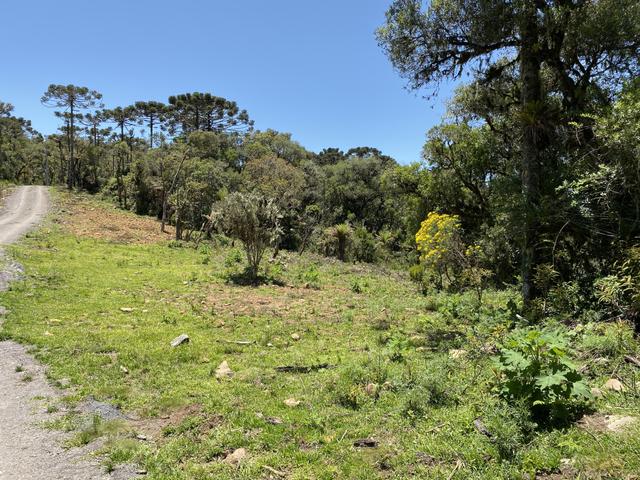 Terreno Urubici/ Chácara Urubici