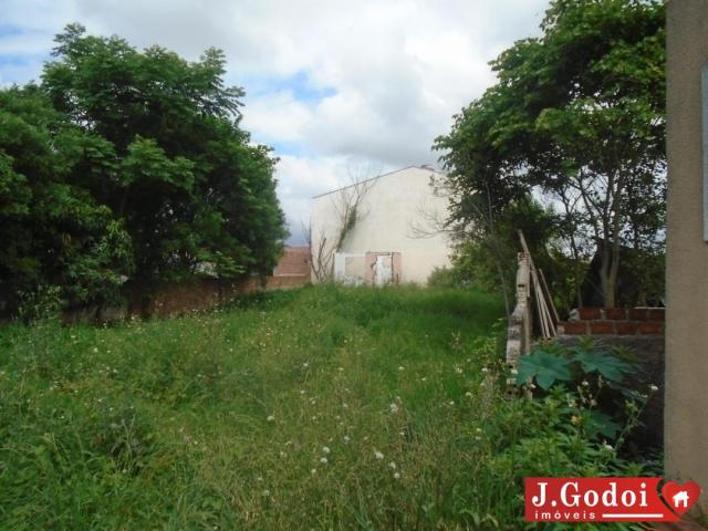TERRENO / UBERABA - Foto 5