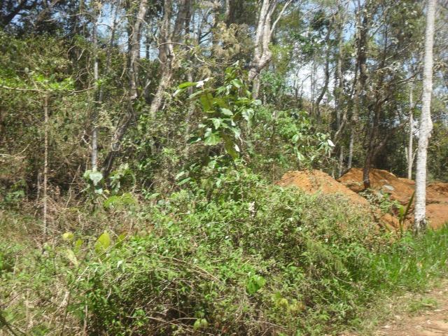 Terreno Teresopolis - Albuquerque - 1.670 metros - Foto 2