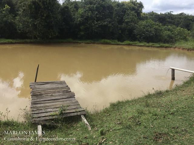 Fazenda no Município de Ipameri-Go - Foto 5