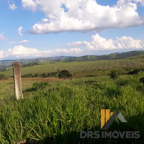Rural sitio - Bairro Centro em Pitanga - Foto 11