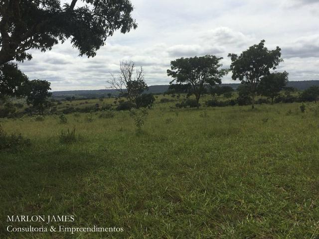 Fazenda no Município de Ipameri-Go - Foto 9