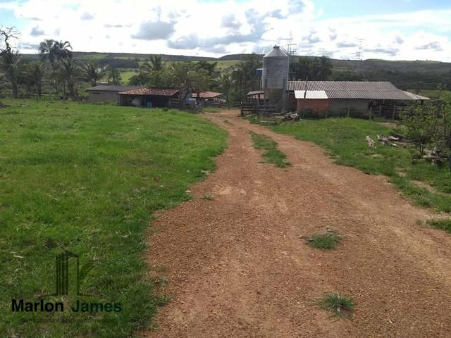 Fazenda em Vianópolis-Go - Foto 7