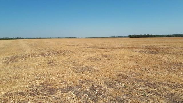 Fazenda de 462 Ha , 300 Ha Lavoura . Redenção - PA .permuta 70% em Fazenda no Paraná - Foto 12