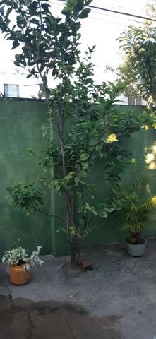 Linda casa 3 quartos suíte em Afogados - Foto 18