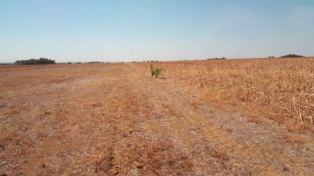 Fazenda de 462 Ha , 300 Ha Lavoura . Redenção - PA .permuta 70% em Fazenda no Paraná - Foto 13
