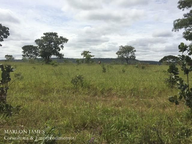Fazenda no Município de Ipameri-Go - Foto 16