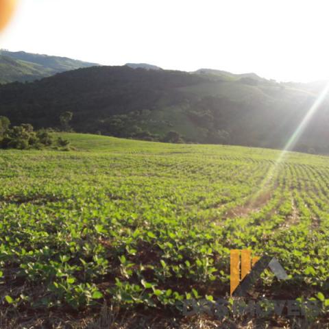 Rural sitio - Bairro Centro em Pitanga