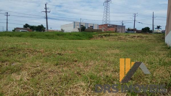 Terreno em rua - Bairro Conjunto Habitacional Alexandre Urbanas em Londrina - Foto 8