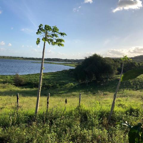 Sítio Beira Rio - Foto 4