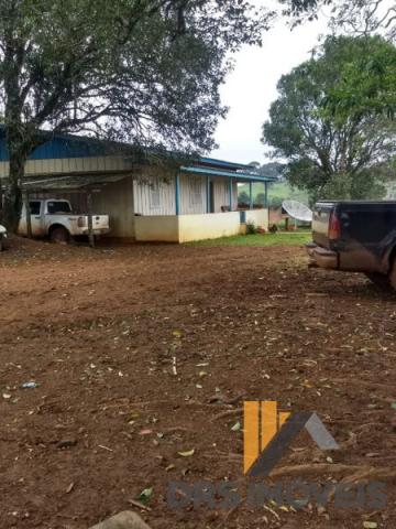 Rural sitio - Bairro Centro em Pitanga - Foto 6