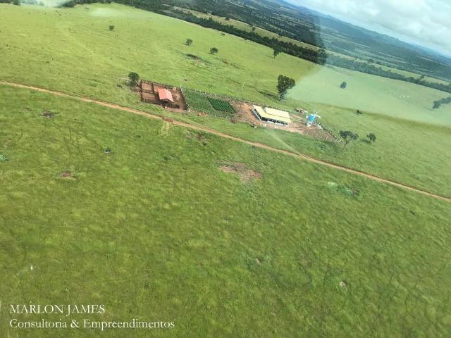 Fazenda em Caiapônia-Go - Foto 2