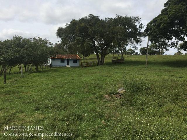 Fazenda no Município de Ipameri-Go - Foto 7