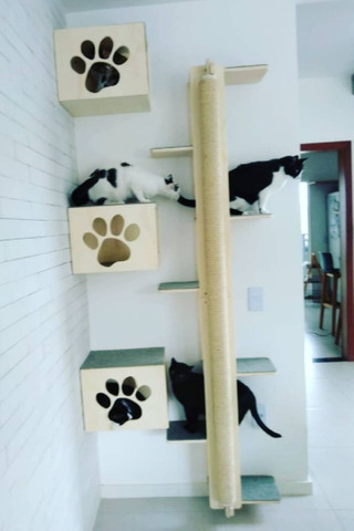 Playground para gatos - Foto 2