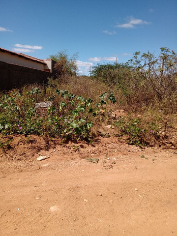 Terreno - Foto 2