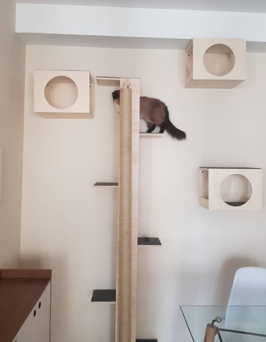 Playground para gatos - Foto 3