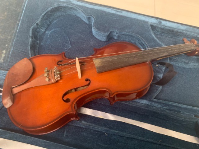 Violino Eagle  - Foto 2