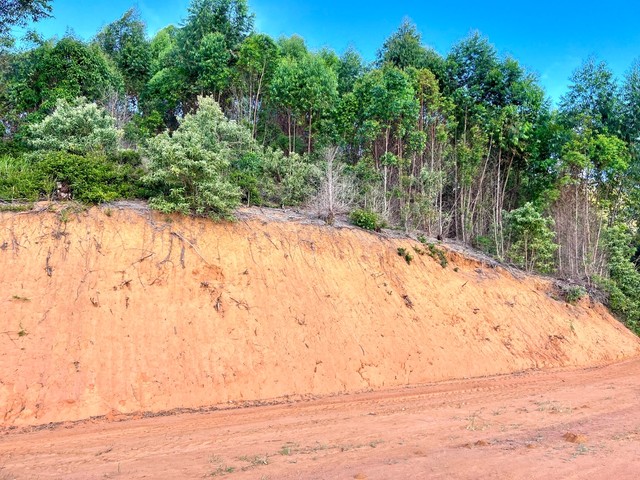 **IMPERDIVEL-CHACARA VALE DOS VINHEDOS EM SANTA TERESA** - Foto 12