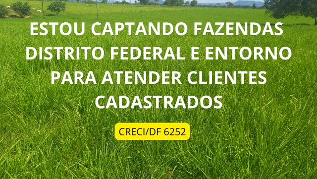 Fazendas em Minas gerais