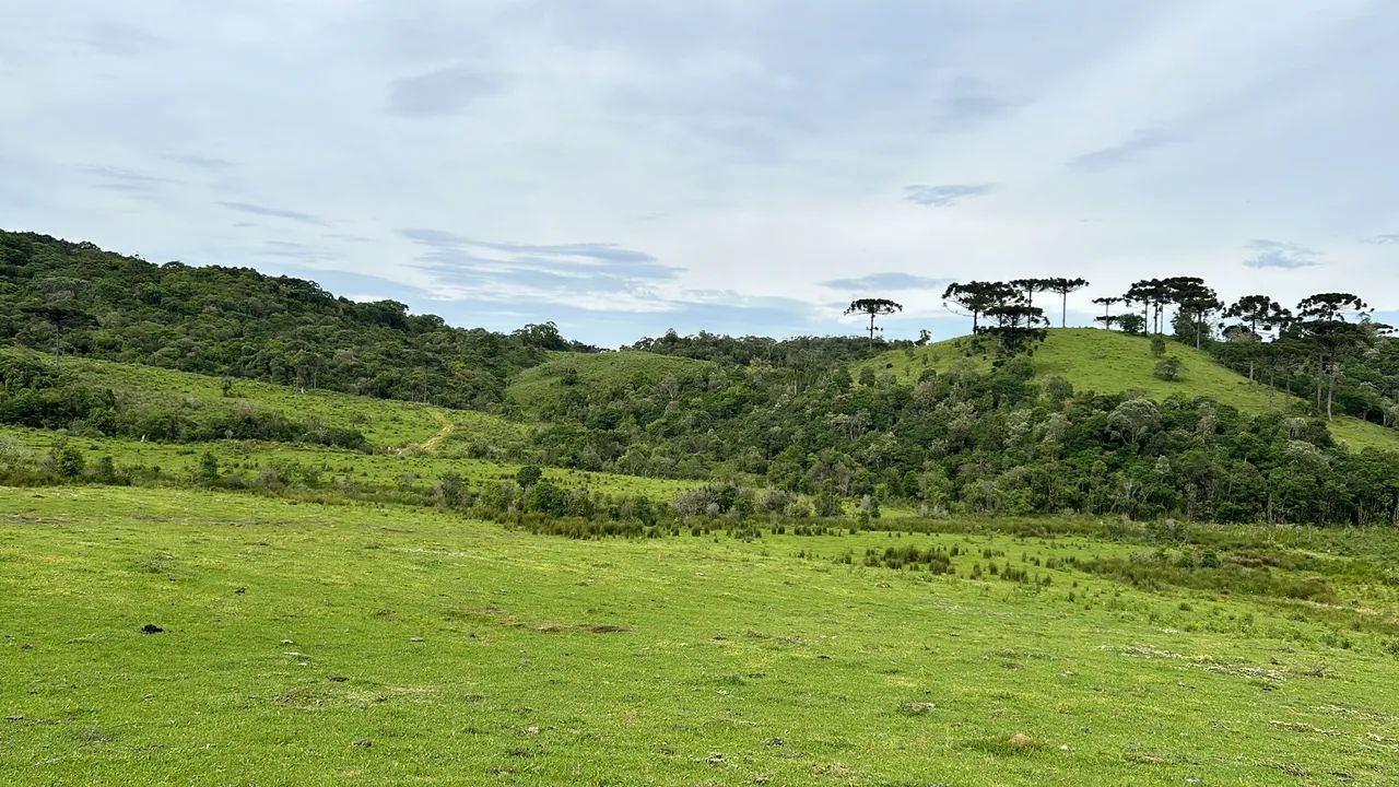 Chácaras na Serra Catarinense - Rancho Queimado - Foto 3