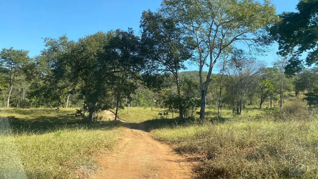 Fazenda município de Cocalzinho-go