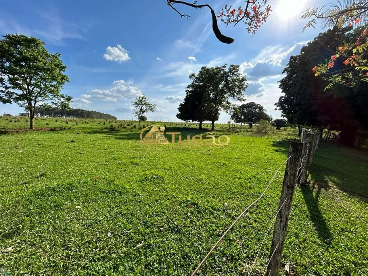 Sítio para Venda Rural, Nipoã