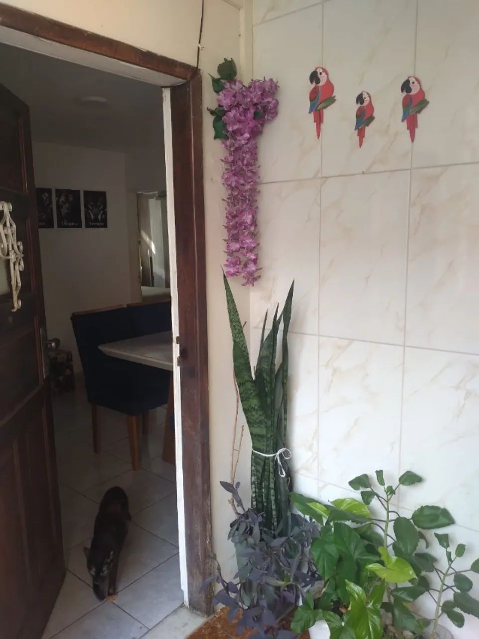 Foto - Rio de Janeiro - Brás de Pina