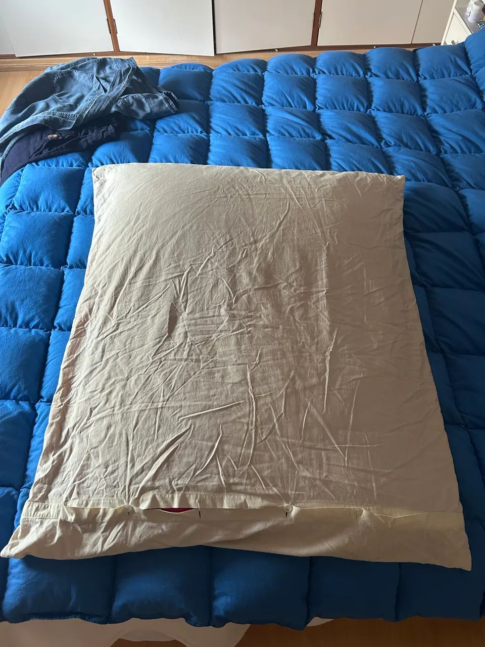 Travesseiro de Pena de Ganso