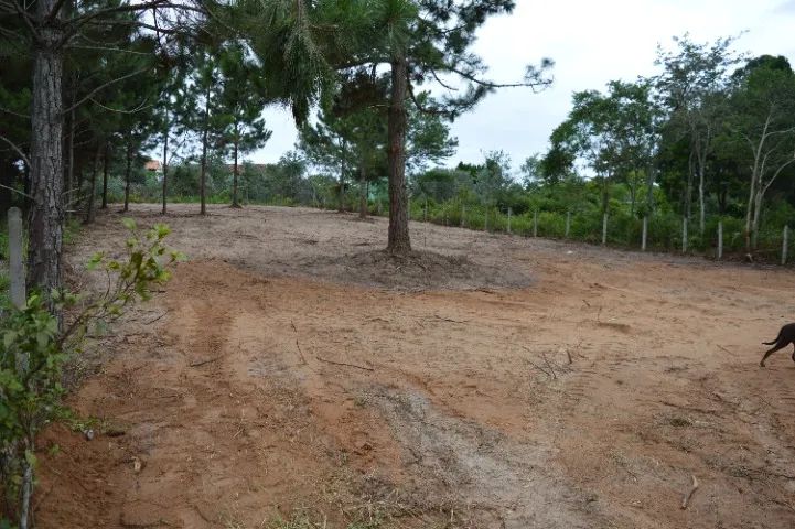 Oferta - Lindo Terreno 1.000 m2 no Rio Vermelho/Florianópolis - Acesso praia Moçambique - Foto 3