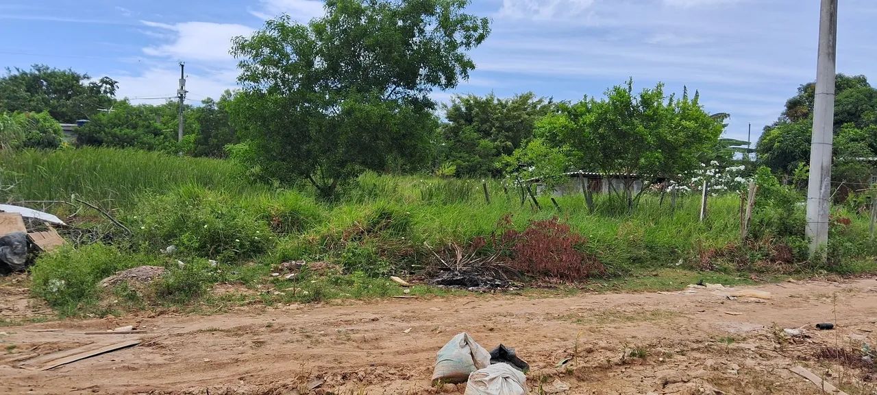 TERRENO VENDO OU TROCO POR CARRO VALOR ATE R$ 30.000,00 - Foto 15