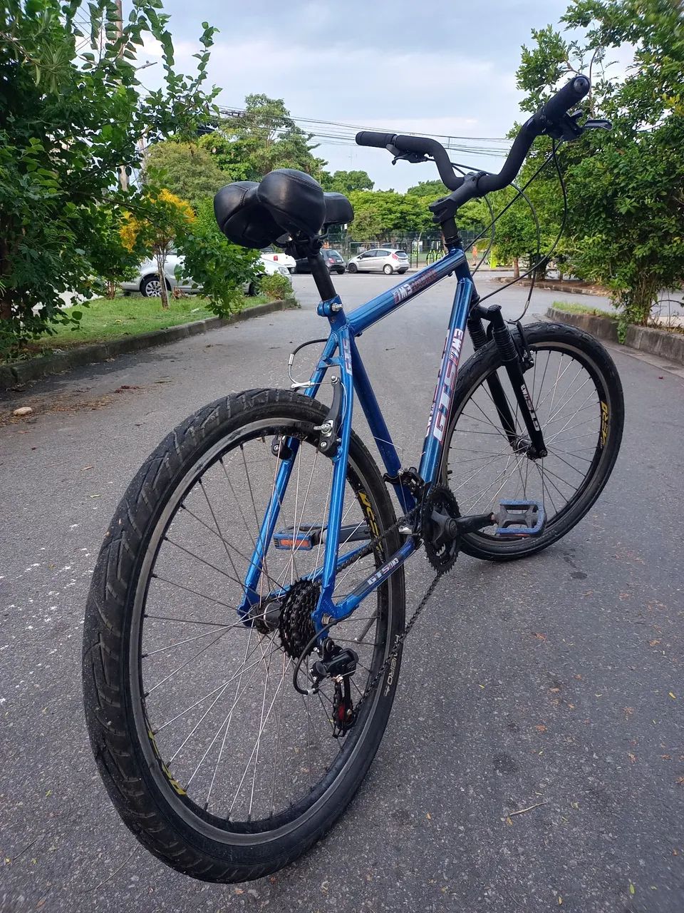 ENTREGO Bicicleta Mountain Bike aro 26 pneu parrudo 21 v confortável pneus novos