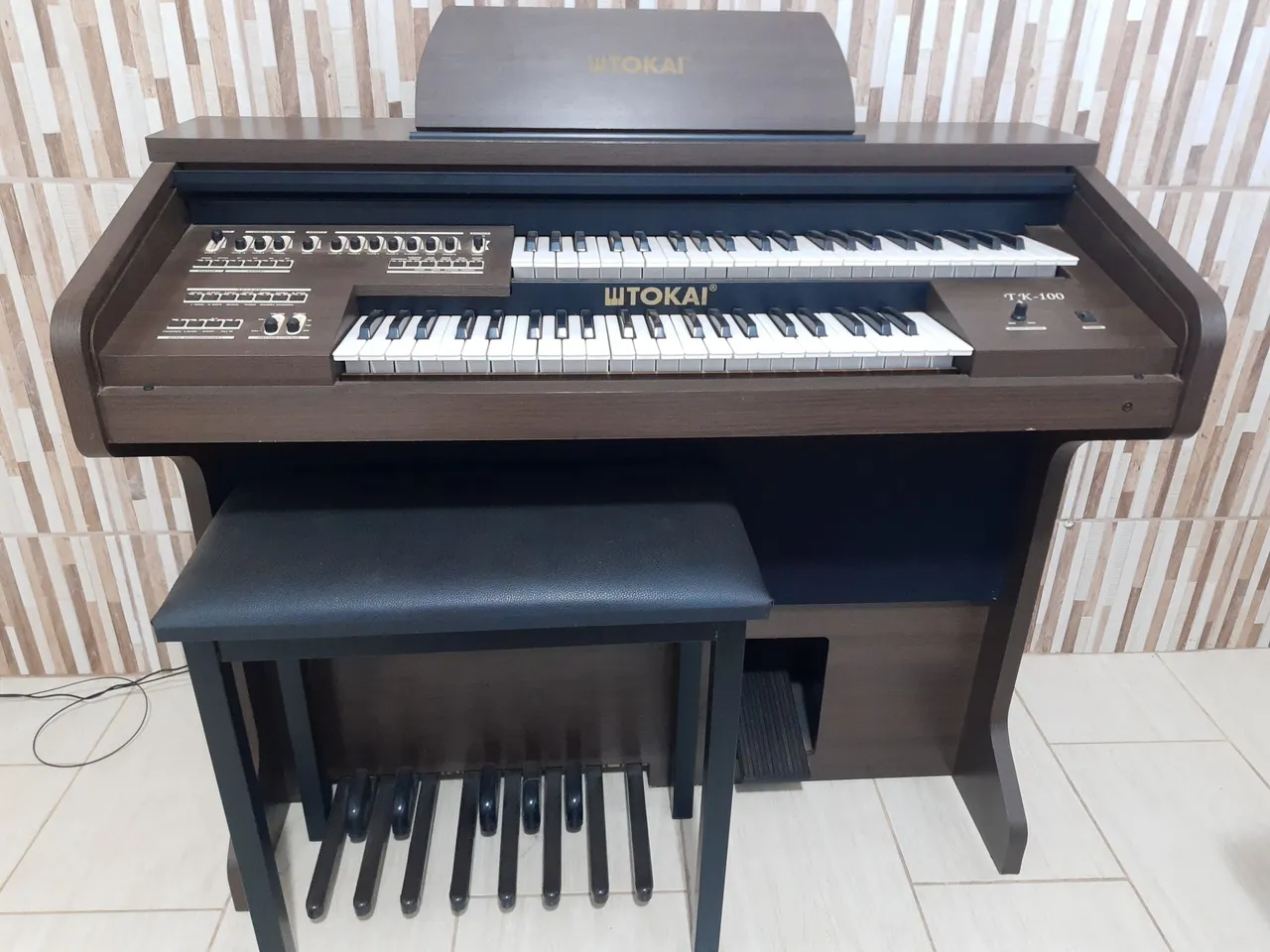 Órgão Eletrônico Tokai TK-100 - Instrumento Musical