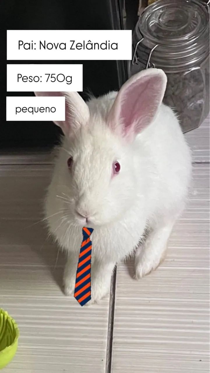 Esta é sua chance de dar um verdadeiro presente ! ?