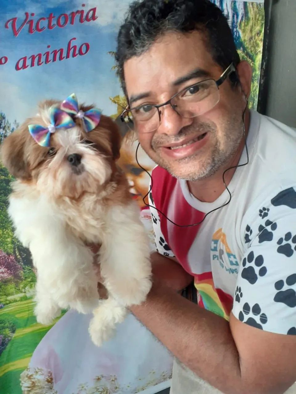 Tosa e banho domicílio serviços  - Foto 5