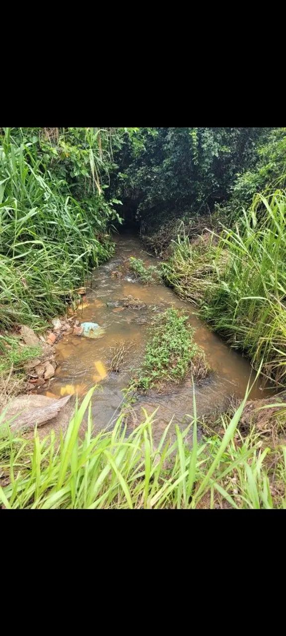 Sítio de 1 alqueire próximo ao Bairro fundão  - Foto 4