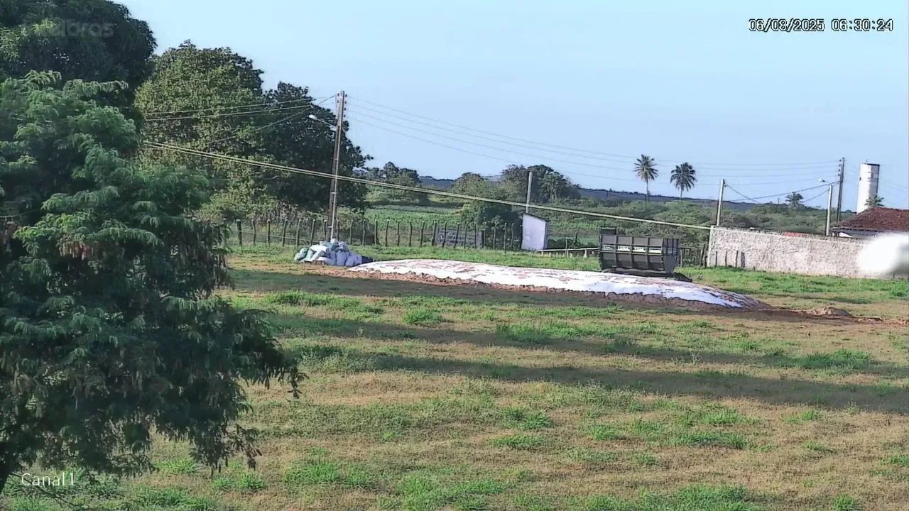 SILAGEM PREMIUM NO RN 64298558179587122